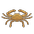 Cancer